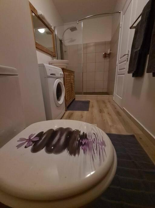 פאפיט Appartement F2 Ninirei מראה חיצוני תמונה